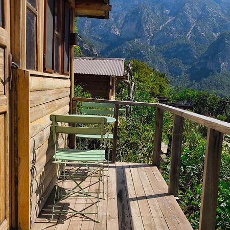 Olive Garden Kabak Hotell Faralya Exteriör bild