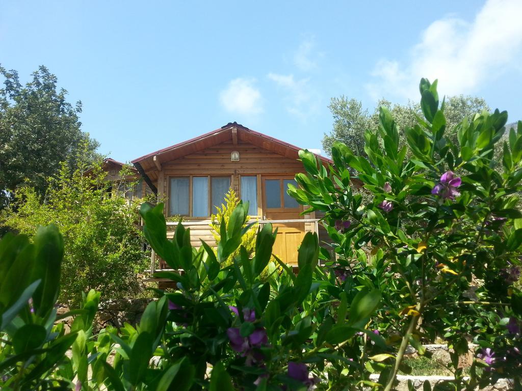 Olive Garden Kabak Hotell Faralya Exteriör bild