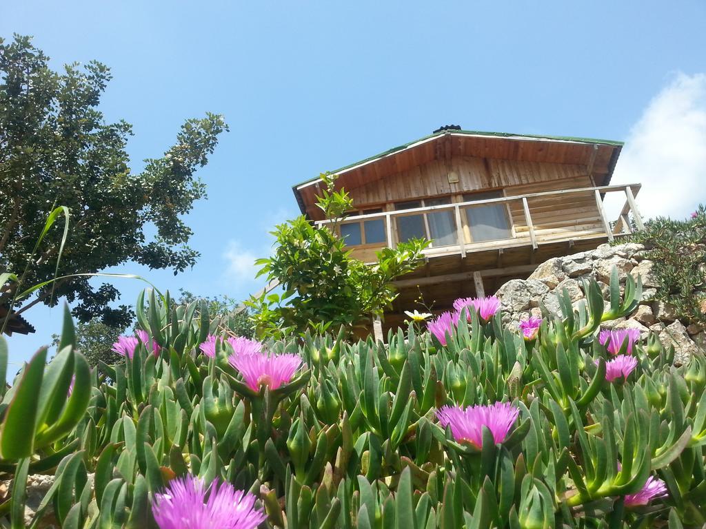 Olive Garden Kabak Hotell Faralya Exteriör bild