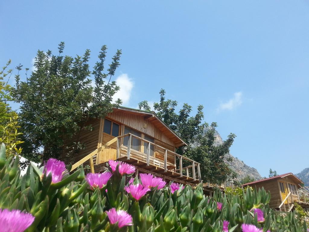 Olive Garden Kabak Hotell Faralya Exteriör bild