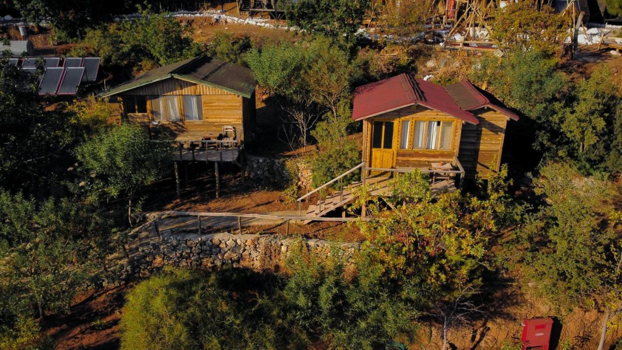 Olive Garden Kabak Hotell Faralya Exteriör bild