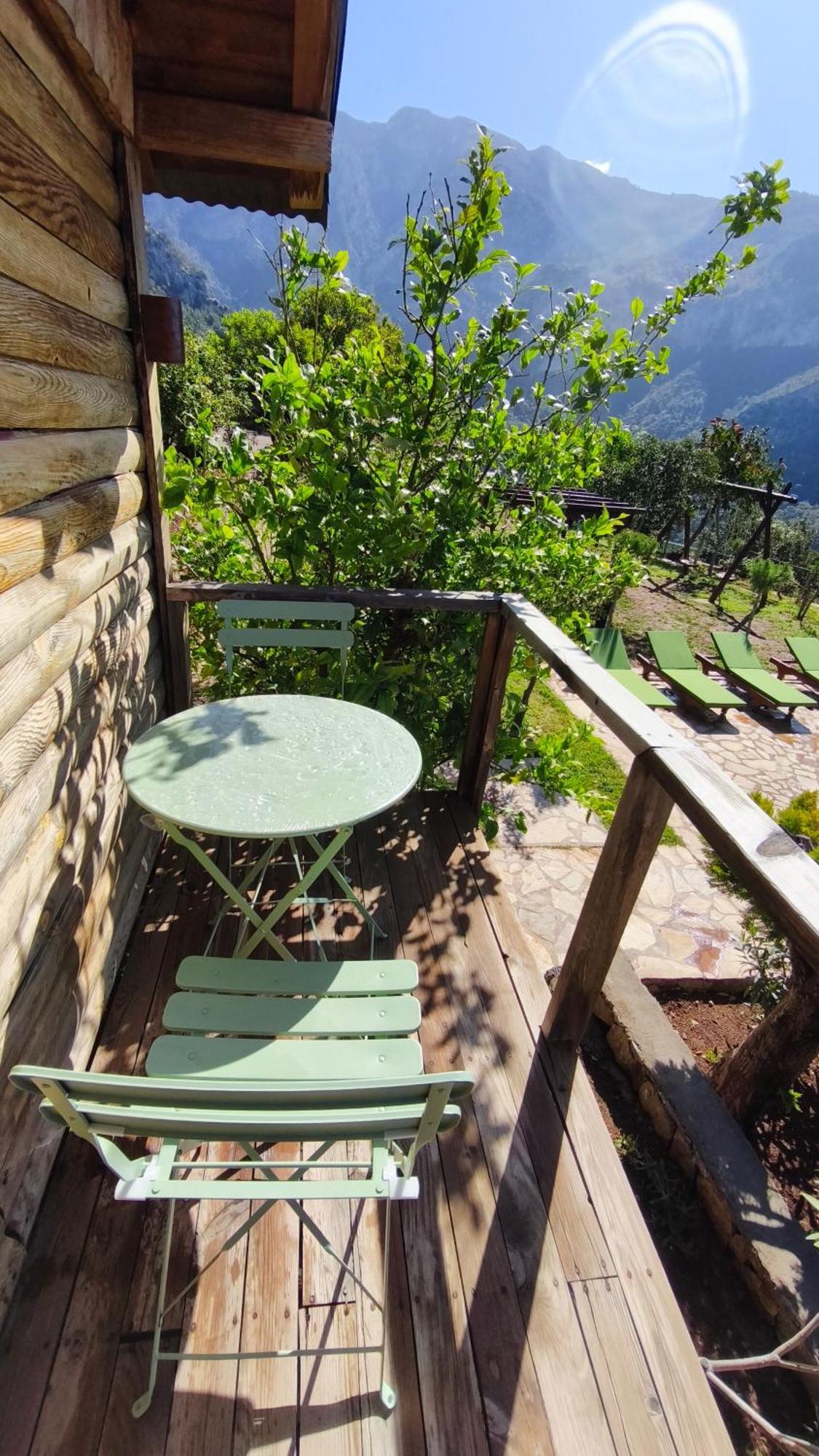 Olive Garden Kabak Hotell Faralya Exteriör bild