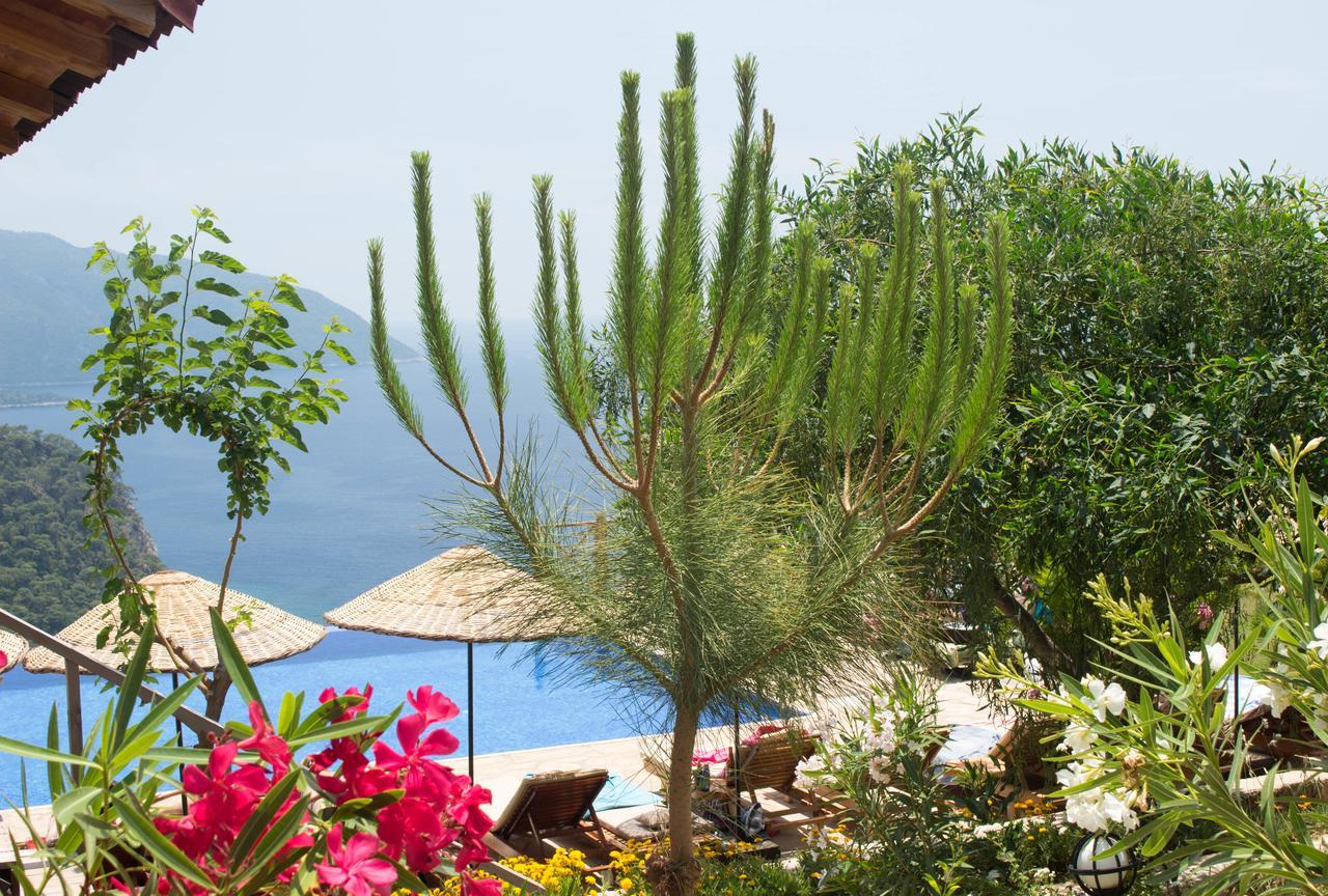 Olive Garden Kabak Hotell Faralya Exteriör bild
